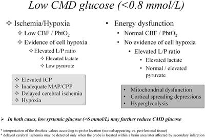 Cerebral Microdialysis Monitoring to Improve Individualized Neurointensive Care Therapy: An Update of Recent Clinical Data